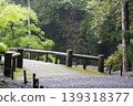 綠橋 139318377