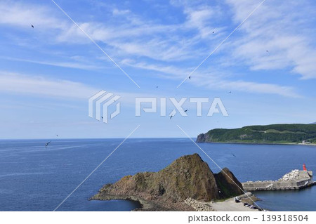 Amateur bird Amateur bird 139318504