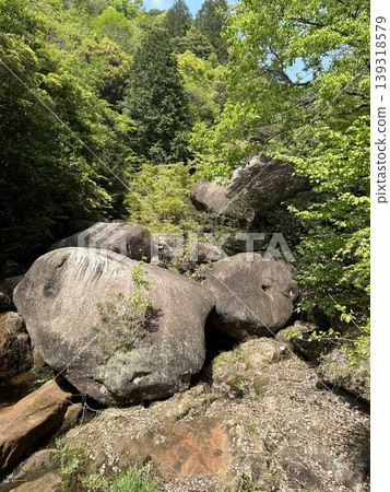 Nature that seems to be inhabited by spirits Nature that seems to be inhabited by spirits 139318579