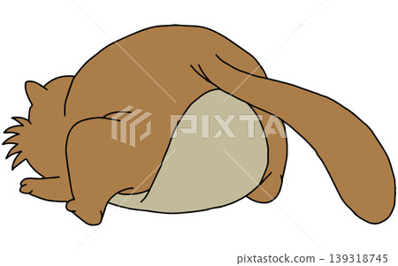 A fun animal illustration ☆ Raccoon A fun animal illustration ☆ Raccoon 139318745
