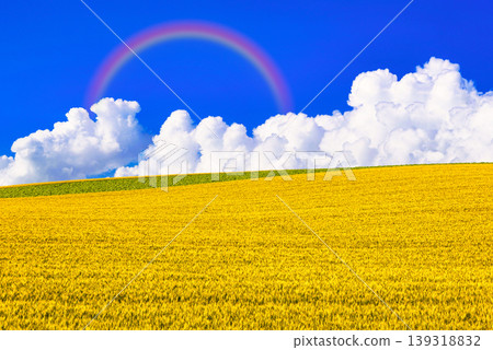A composite image of the beautiful rural landscape of Biei and cumulonimbus clouds. A composite image of the beautiful rural landscape of Biei and cumulonimbus clouds. 139318832