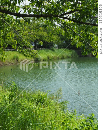 池田湖公園(長崎縣大村市;著名賞櫻勝地) 池田湖公園(長崎縣大村市;著名賞櫻勝地) 139319306