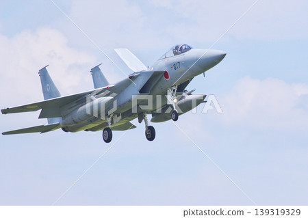 303rd Squadron F-15J preparing to land 303rd Squadron F-15J preparing to land 139319329