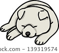 秋田犬，顏色：白色，狗的插圖 139319574