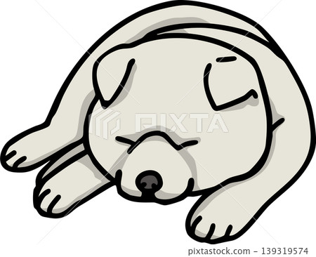 秋田犬，顏色：白色，狗的插圖 139319574