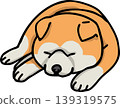 秋田犬，紅色外套，狗的插圖 139319575