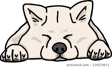 秋田犬，顏色：白色，狗的插圖 139319631