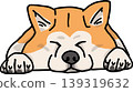 秋田犬，紅色外套，狗的插圖 139319632