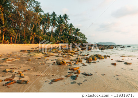 Atmospheric landscape shot with a moody and dramatic natural setting. Atmospheric landscape shot with a moody and dramatic natural setting. 139319713
