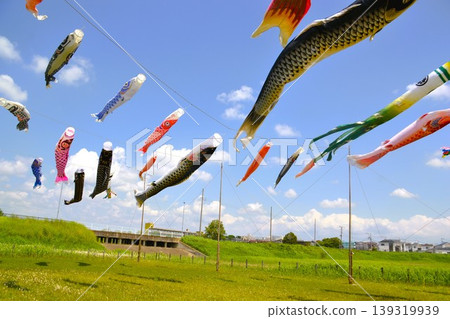Carp streamer Carp streamer 139319939