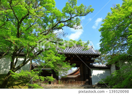 京都，滿珠院門跡，綠意盎然的皇門 139320098
