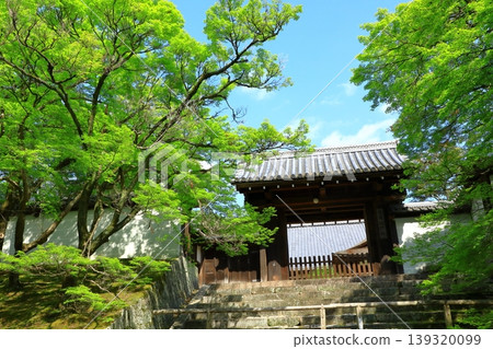 京都，滿珠院門跡，綠意盎然的皇門 139320099