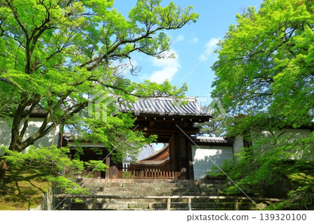 京都,滿珠院門跡,綠意盎然的皇門 京都,滿珠院門跡,綠意盎然的皇門 139320100