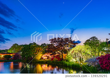 (Tochigi Prefecture) Ashikaga Flower Park: Waterside scenery illuminated (Tochigi Prefecture) Ashikaga Flower Park: Waterside scenery illuminated 139320291