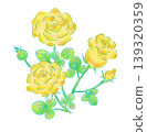 yellow rose flower illustration 139320359