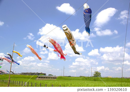 鯉魚旗 鯉魚旗 139320610