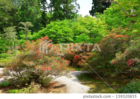 京都曼殊院門跡枯山水庭園 京都曼殊院門跡枯山水庭園 139320655