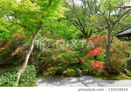 Kyoto Manshuin Temple Karesansui Garden Kyoto Manshuin Temple Karesansui Garden 139320656