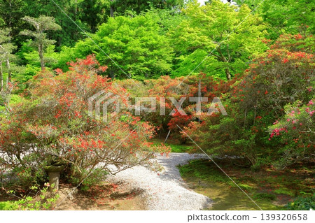 Kyoto Manshuin Temple Karesansui Garden Kyoto Manshuin Temple Karesansui Garden 139320658