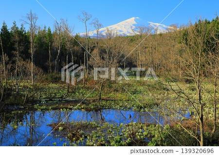 Spring wetlands, shining in the morning sun Spring wetlands, shining in the morning sun 139320696