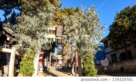 Scenes of New Year's visits to Shibamata Hachiman Shrine and pine decorations on the torii gate. 139320781