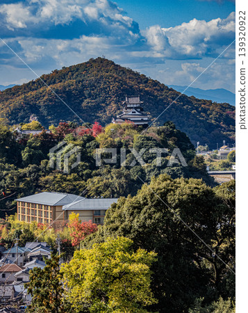 A view of Inuyama Castle, a national treasure in autumn A view of Inuyama Castle, a national treasure in autumn 139320922