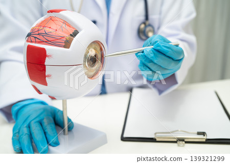 Asian doctor with eye human anatomy model for study diagnosis and treatment in hospital. Asian doctor with eye human anatomy model for study diagnosis and treatment in hospital. 139321299