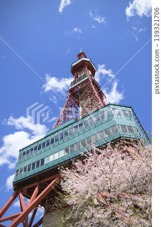 Looking up at Sapporo TV Tower and cherry blossoms in full bloom. Looking up at Sapporo TV Tower and cherry blossoms in full bloom. 139321706
