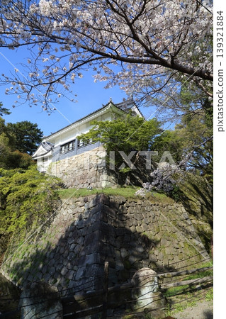 龍城神社後方櫻花盛開 139321884