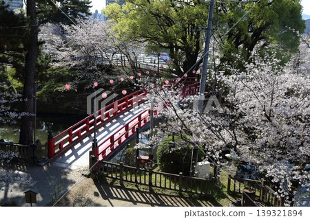 Shinbashi Bridge over the moat and cherry blossoms Shinbashi Bridge over the moat and cherry blossoms 139321894