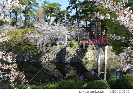 Cherry blossoms in full bloom and the red Shinkyo Bridge Cherry blossoms in full bloom and the red Shinkyo Bridge 139321901