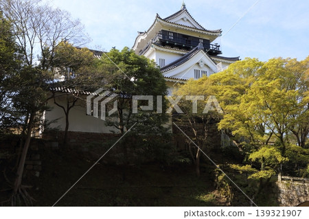 A clear blue sky and the keep of Okazaki Castle A clear blue sky and the keep of Okazaki Castle 139321907