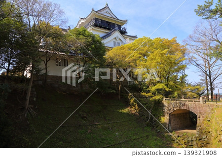 湛藍的天空和岡崎城的天守閣 湛藍的天空和岡崎城的天守閣 139321908