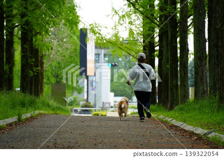 一隻設得蘭牧羊犬和它的主人在公園裡奔跑。 一隻設得蘭牧羊犬和它的主人在公園裡奔跑。 139322054