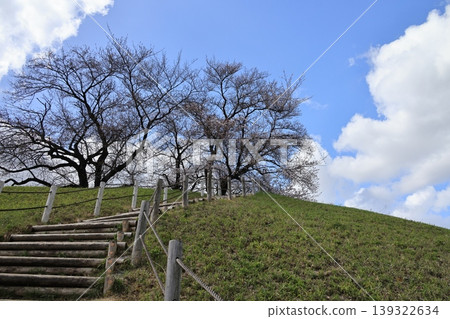 A scene from Maruboyama Kofun in Gyoda City, Saitama Prefecture in early spring. A scene from Maruboyama Kofun in Gyoda City, Saitama Prefecture in early spring. 139322634