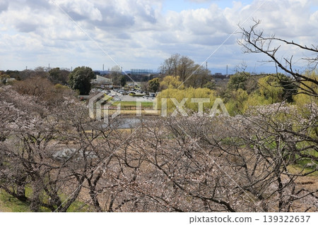 A scene from Sakitama Kofun Park in Gyoda City, Saitama Prefecture in early spring. A scene from Sakitama Kofun Park in Gyoda City, Saitama Prefecture in early spring. 139322637