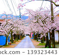 The Gaisen cherry trees were planted in 1906 (Meiji 39) on both sides of the highway in the post town of Shinjo Village, Maniwa City, to commemorate the victory in the Russo-Japanese War. 139323443