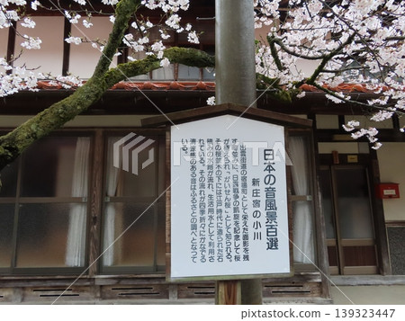 The Gaisen cherry trees were planted in 1906 (Meiji 39) on both sides of the highway in the post town of Shinjo Village, Maniwa City, to commemorate the victory in the Russo-Japanese War. The Gaisen cherry trees were planted in 1906 (Meiji 39) on both sides of the highway in the post town of Shinjo Village, Maniwa City, to commemorate the victory in the Russo-Japanese War. 139323447