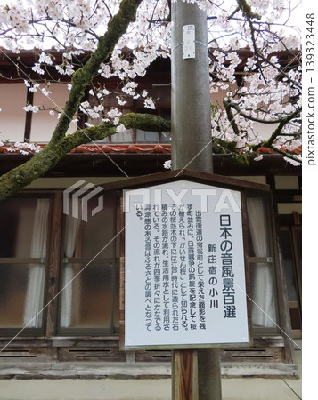 The Gaisen cherry trees were planted in 1906 (Meiji 39) on both sides of the highway in the post town of Shinjo Village, Maniwa City, to commemorate the victory in the Russo-Japanese War. The Gaisen cherry trees were planted in 1906 (Meiji 39) on both sides of the highway in the post town of Shinjo Village, Maniwa City, to commemorate the victory in the Russo-Japanese War. 139323448