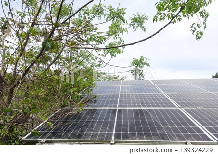 Solar panels affected by being covered by trees Solar panels affected by being covered by trees 139324229