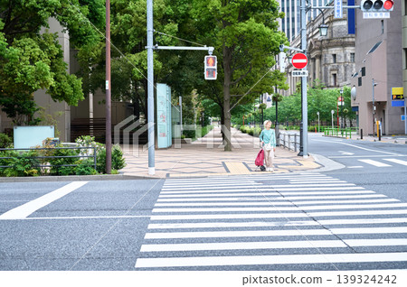 A distant view of a senior woman with a shopping cart at a city intersection. 139324242