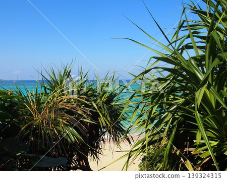 Beautiful beach of Okinawa Beautiful beach of Okinawa 139324315