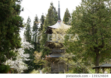 法洋寺的櫻花和三重塔；重要文化財產；福島縣 139324604