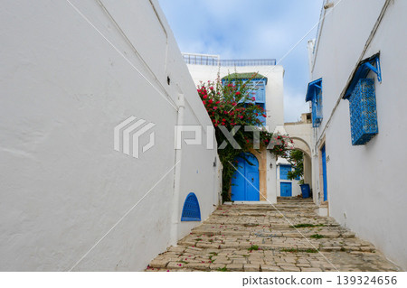 Landscape of Sidi Bou Said, Tunis, Tunisia 139324656