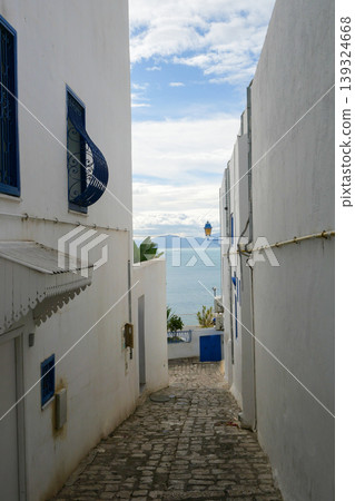 Landscape of Sidi Bou Said, Tunis, Tunisia Landscape of Sidi Bou Said, Tunis, Tunisia 139324668