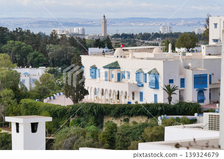 Landscape of Sidi Bou Said, Tunis, Tunisia Landscape of Sidi Bou Said, Tunis, Tunisia 139324679