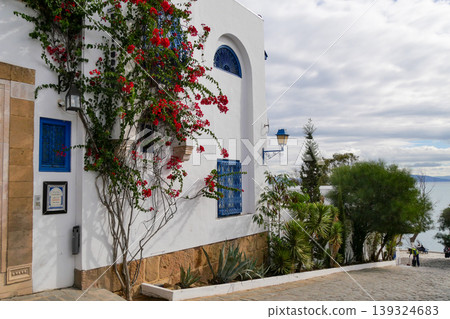Landscape of Sidi Bou Said, Tunis, Tunisia Landscape of Sidi Bou Said, Tunis, Tunisia 139324683