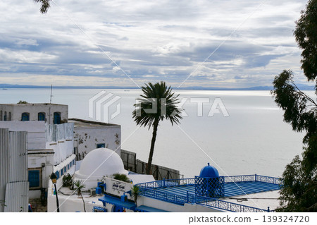 View of the Gulf of Tunis from Sidi Bou Said in Tunis, Tunisia. View of the Gulf of Tunis from Sidi Bou Said in Tunis, Tunisia. 139324720