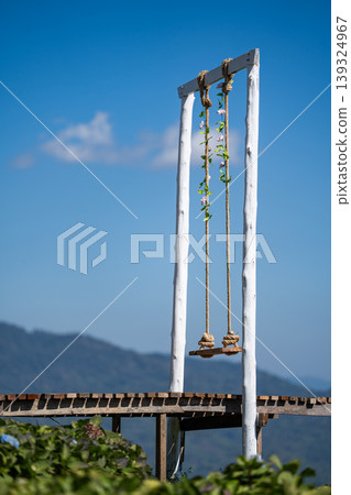 Vertical shot of beautiful white wooden swings decorated with floral ivy and wooden bridge located along mountain and cliff of flower field in North of Thailand. Vertical shot of beautiful white wooden swings decorated with floral ivy and wooden bridge located along mountain and cliff of flower field in North of Thailand. 139324967