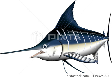 魚類插圖:「馬林魚(劍魚)」 - 向量格式 - 白色背景上的單張圖片 魚類插圖:「馬林魚(劍魚)」 - 向量格式 - 白色背景上的單張圖片 139325025